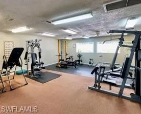 Dedicated exercise space featuring multiple windows, recessed lighting, and a combination of carpet and rubber mat flooring