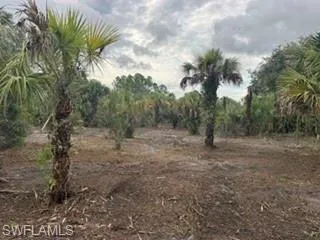 Xx 37th Ave Nw, Naples, Florida 34120