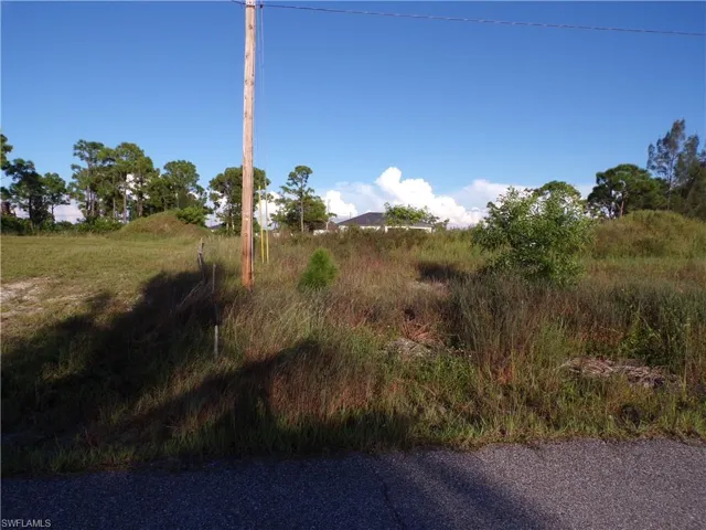 View of local wilderness