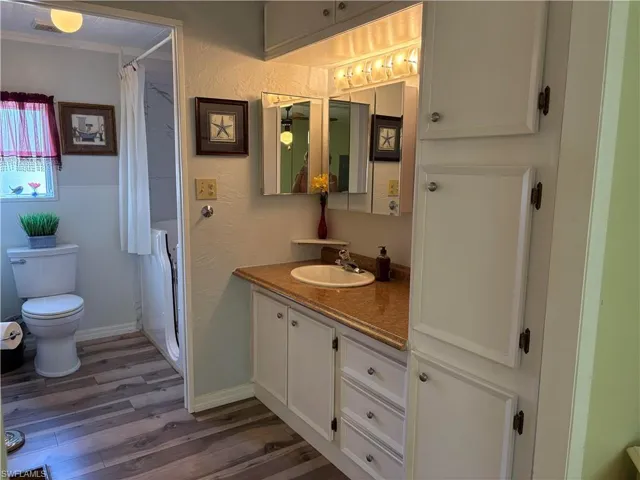 Bathroom featuring vanity, curtained shower, wood-type flooring, and toilet