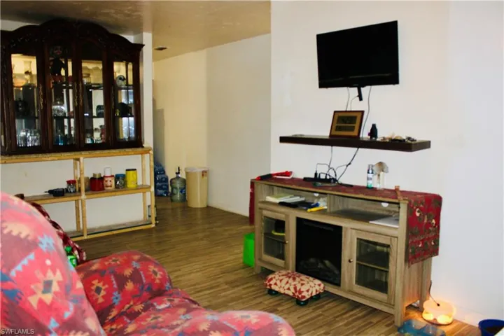 Living room featuring dark wood-type flooring