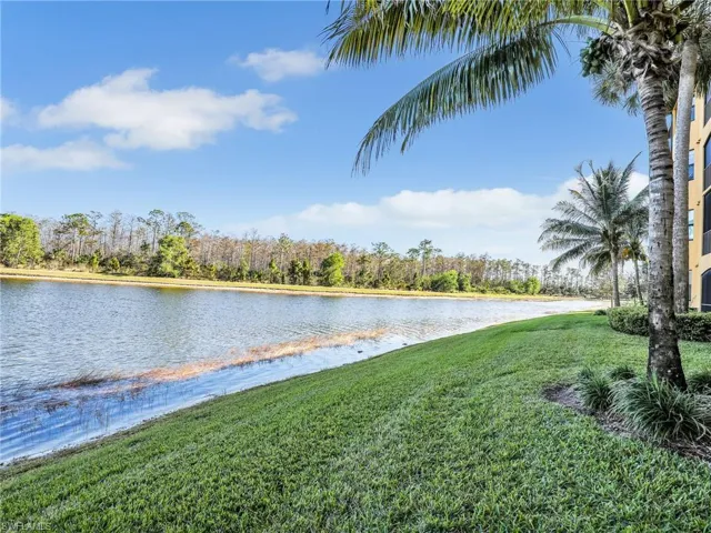 Lake & Preserve View