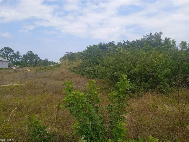 View of nature