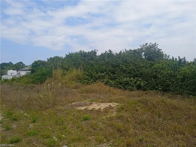 View of nature