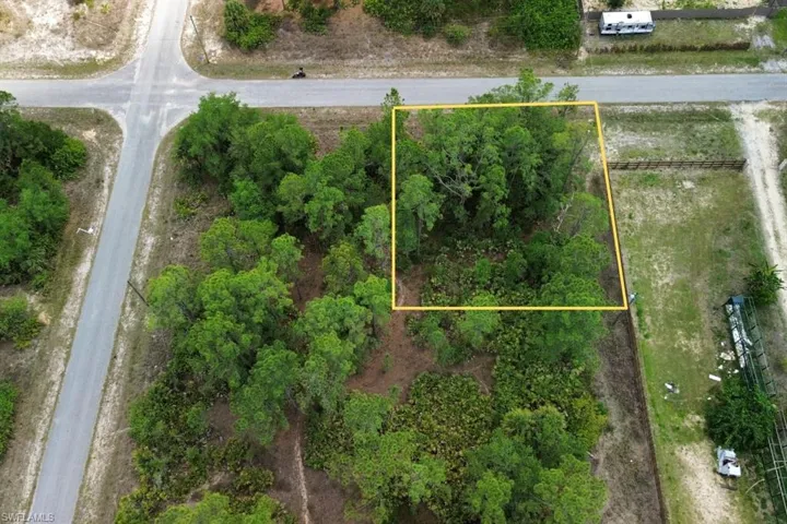 Wooded parcel featuring a mix of mature trees and natural vegetation