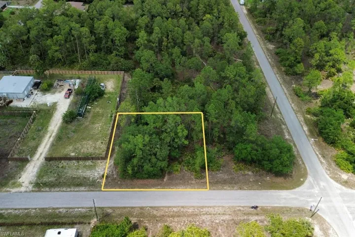 Wooded parcel featuring mature trees, a paved street frontage, and a corner location