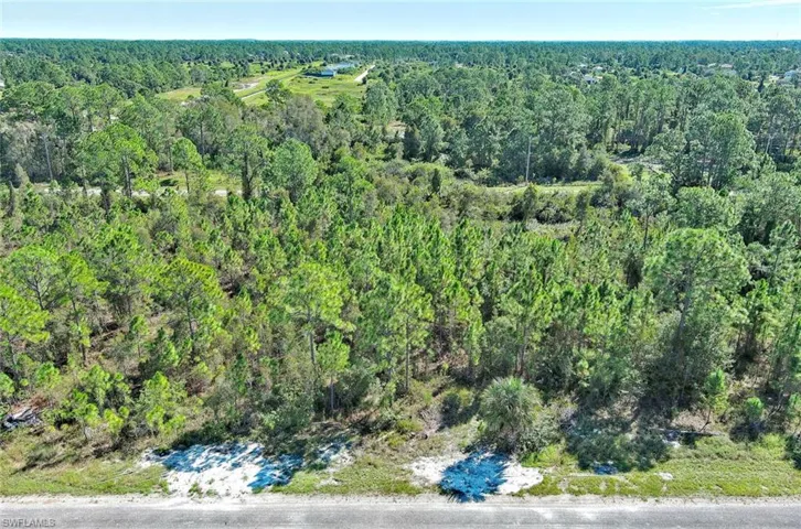 Bird's eye view of a heavily wooded area