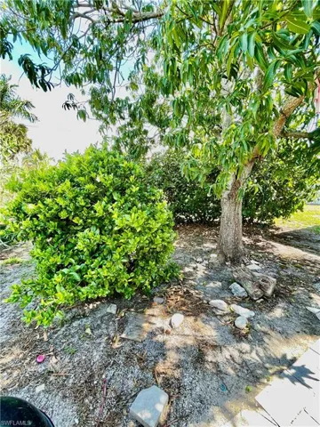 Captivating Mature trees in backyard and room for a pool.