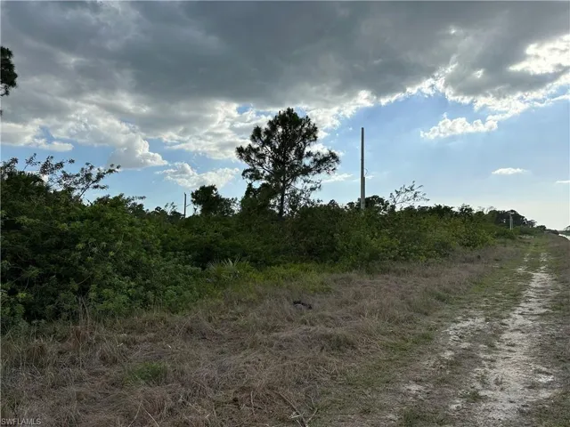 Lot rear