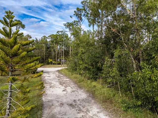 View of road