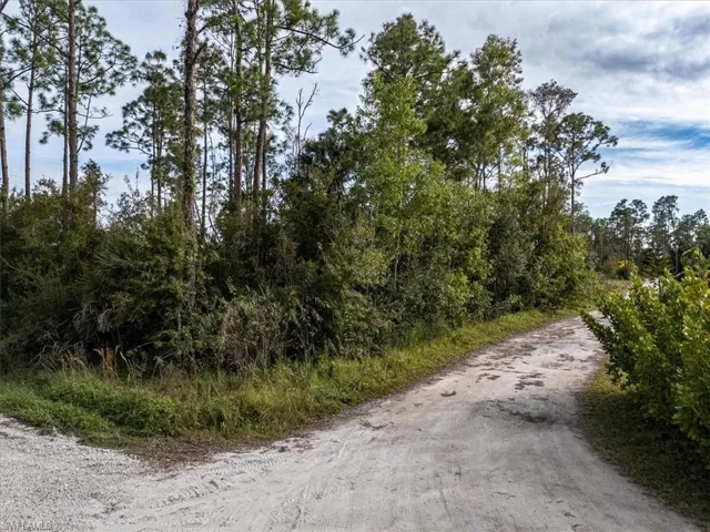 View of road