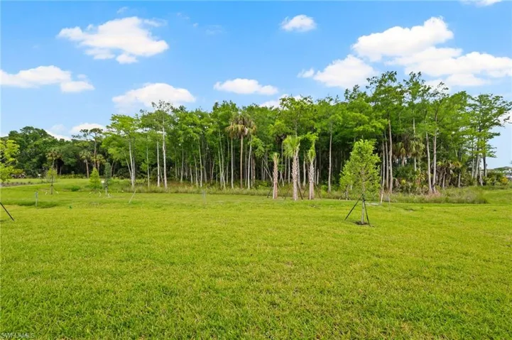 14313 Hogarth Pl, Fort Myers, Florida 33905