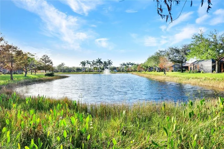Water view with water feature