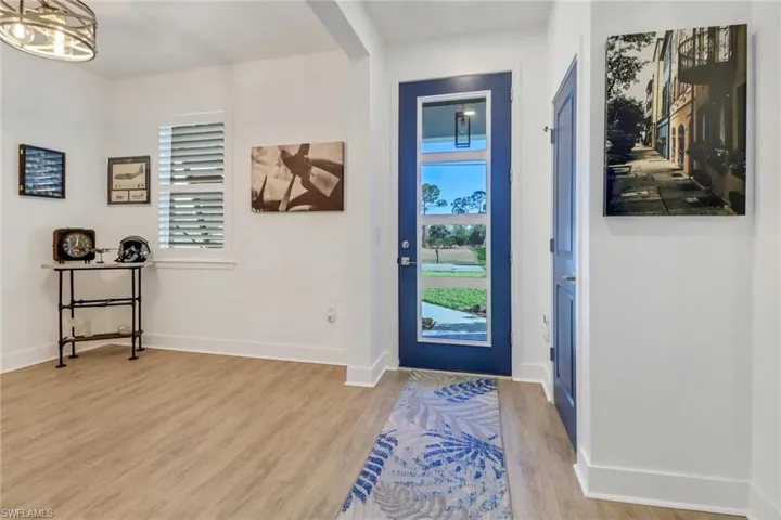 Foyer entrance featuring a healthy amount of sunlight and wood-type flooring