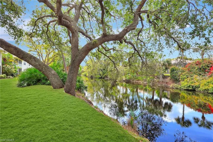 Beautiful Creek View