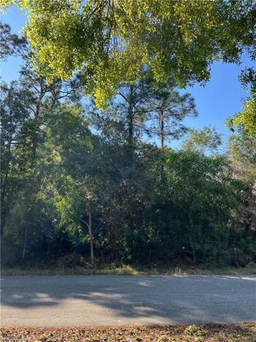 121 Irving AVE, LEHIGH ACRES FL 33936