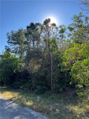 121 Irving AVE, LEHIGH ACRES FL 33936