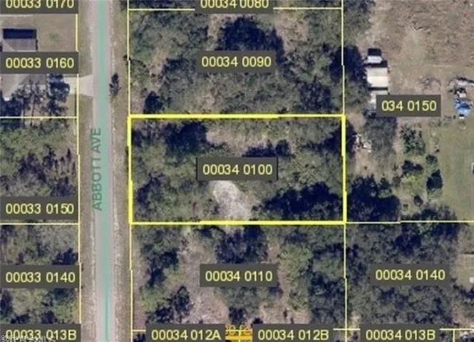 1004 Abbott Ave, Lehigh Acres, Florida 33972