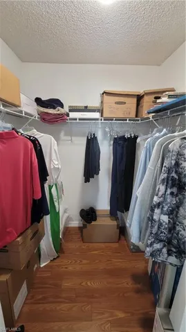 Walk in closet with dark wood finished floors