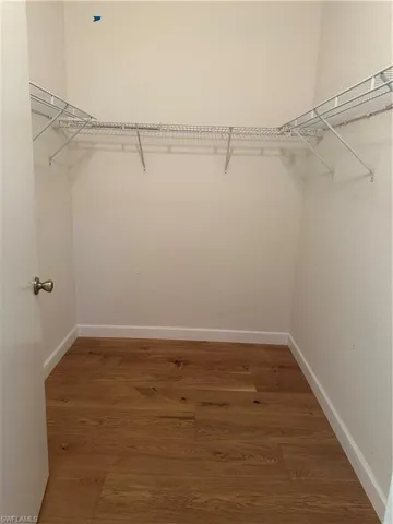Walk in closet with dark wood-type flooring