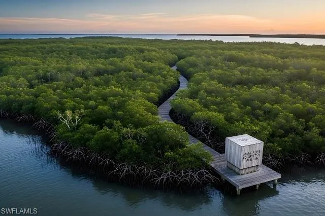 Mangroves Ecosystem at Rookery Bay