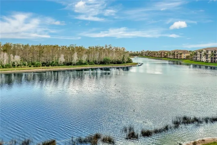 Water view