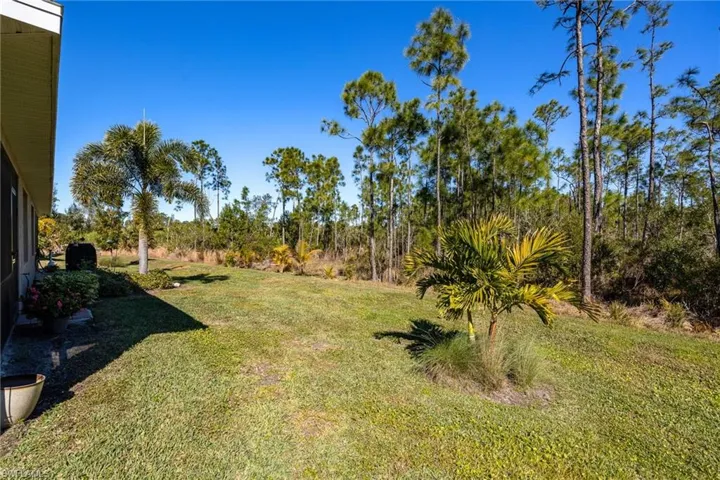 View of grassy yard