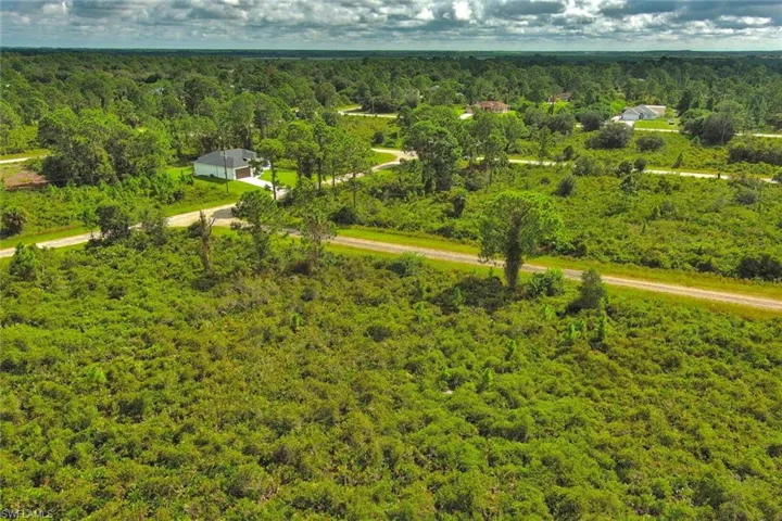Bird's eye view of a forest