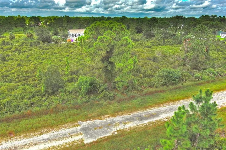 View of subject property with a forest