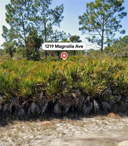 1219 Magnolia Ave, Lehigh Acres, Florida 33972