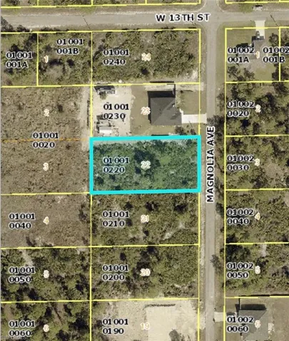 1219 Magnolia Ave, Lehigh Acres, Florida 33972