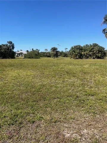 View of local wilderness with a rural view