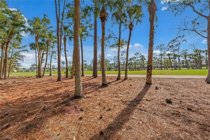 View of grassy yard