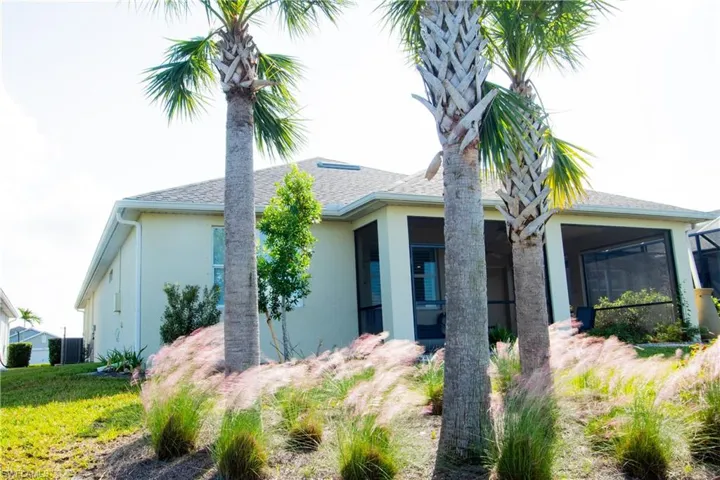 Gorgeous landscaped back yard includes 3 mature palm trees