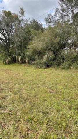 145 Bell BLVD S, LEHIGH ACRES FL 33974