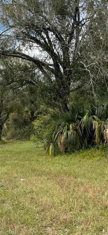 145 Bell BLVD S, LEHIGH ACRES FL 33974