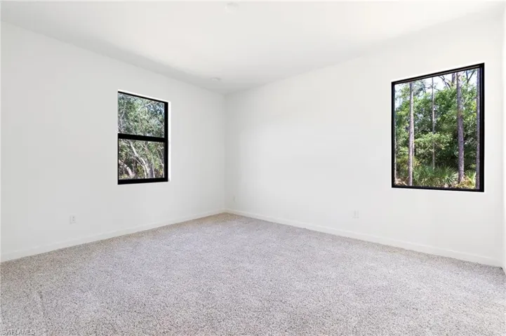 Carpeted empty room featuring baseboards and a healthy amount of sunlight