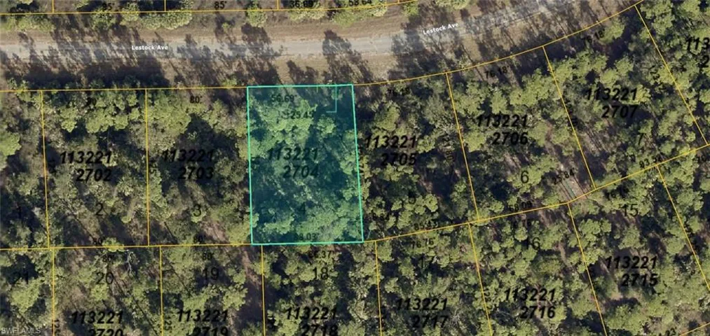 Plat Map. Illustrating the property's boundaries and parcel identification within the larger area