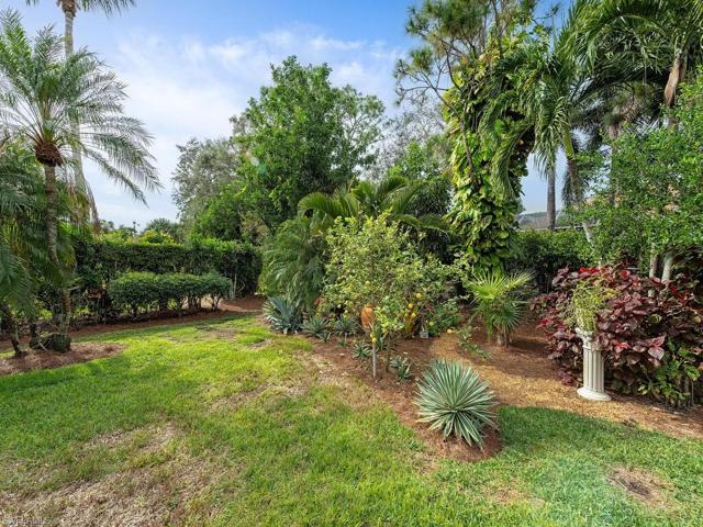 Backyard with lush landscaping