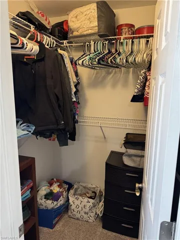 Spacious closet featuring carpet floors