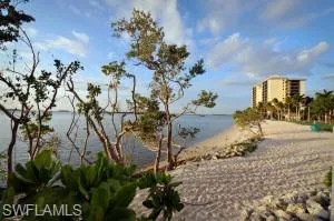 Expansive sandy beach with tropical foliage and mature trees