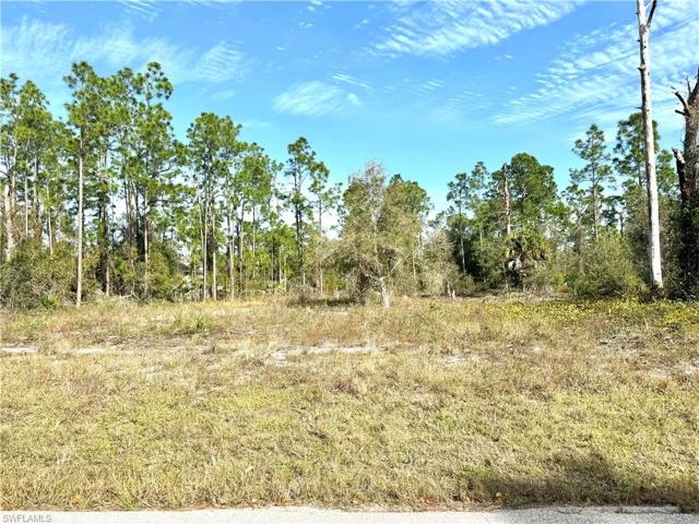943 E Belmont ST, LEHIGH ACRES FL 33974