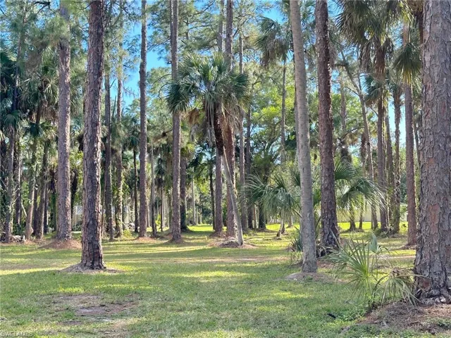 What a beautiful canvas to work with! Beautiful trees, green grass, and nature is truly good for your health!