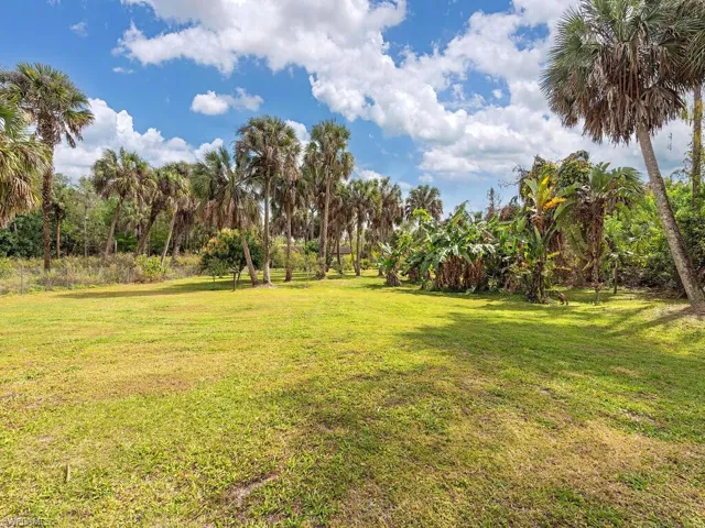Cleared and landscaped with various fruit trees