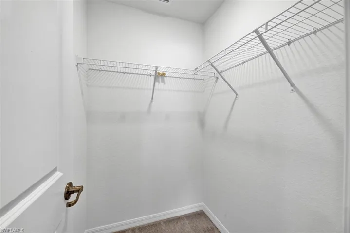 Spacious closet featuring carpet flooring