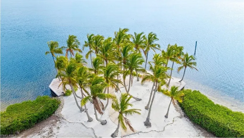 PALM GROVE - The property features a private sandy beach area with numerous palm trees, bordered by lush green foliage and clear blue water