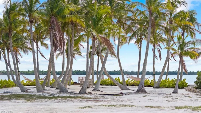 PALM GROVE - The property features extensive sandy grounds with numerous palm trees and water views