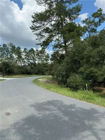 View of street