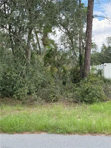 Xxx Sw 167th Loop, Ocala, Florida 34473