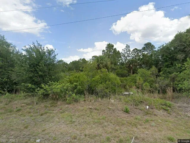 View of wooded area